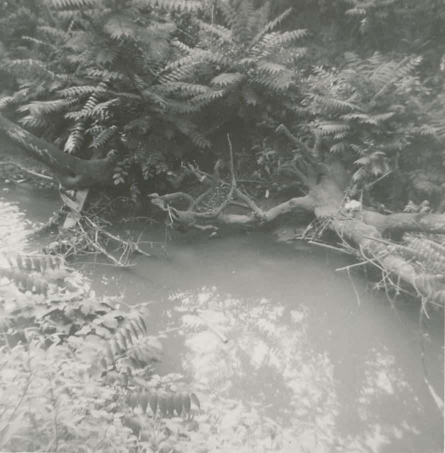 A section of Coal Lick Run which ran alongside old Marshall property, Uniontown, PA, 1962, GCMF photo.